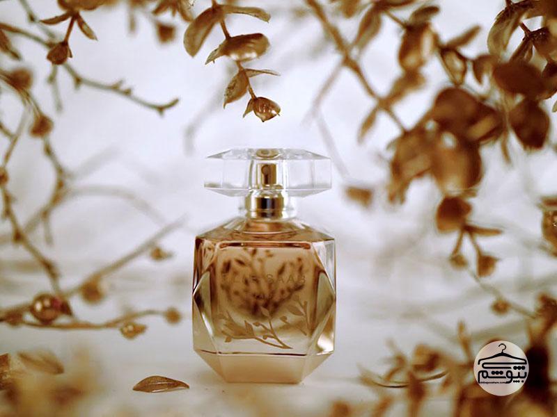 عطر مناسب فصل زمستان