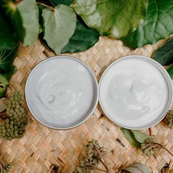 افترشیو ژیلت