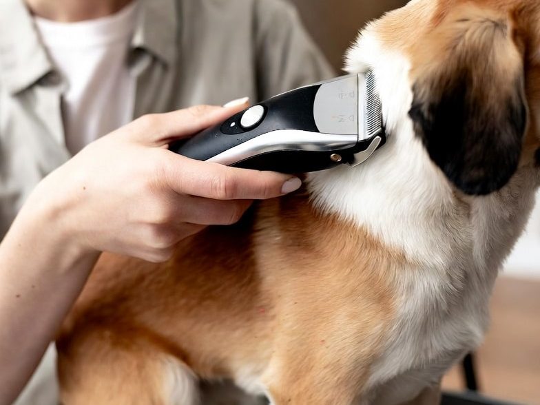 ماشین اصلاح گربه