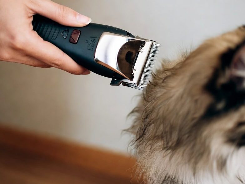 خرید ماشین اصلاح حیوانات