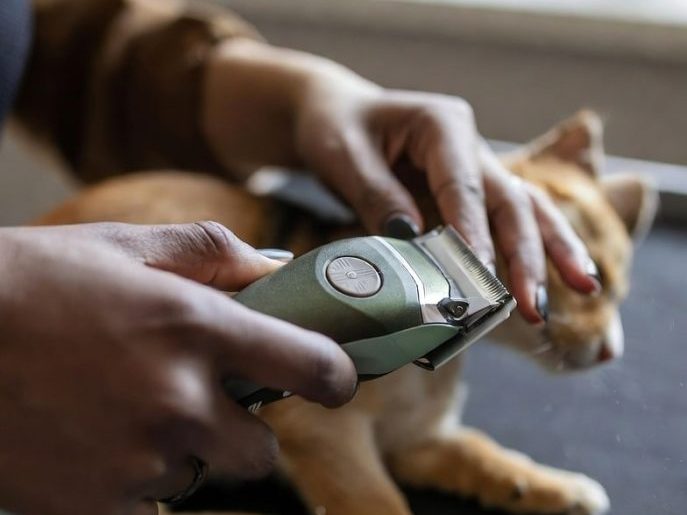 ماشین اصلاح حیوانات