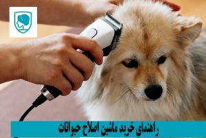 راهنمای خرید ماشین اصلاح حیوانات